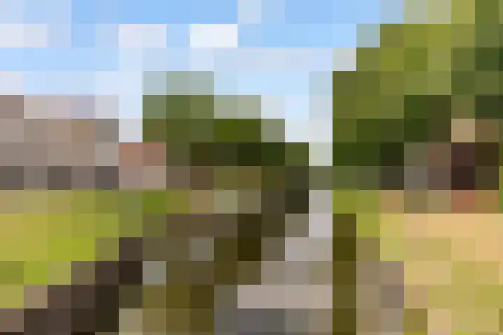 Hinthamereinde 46 A 's-Hertogenbosch thumbnail 36