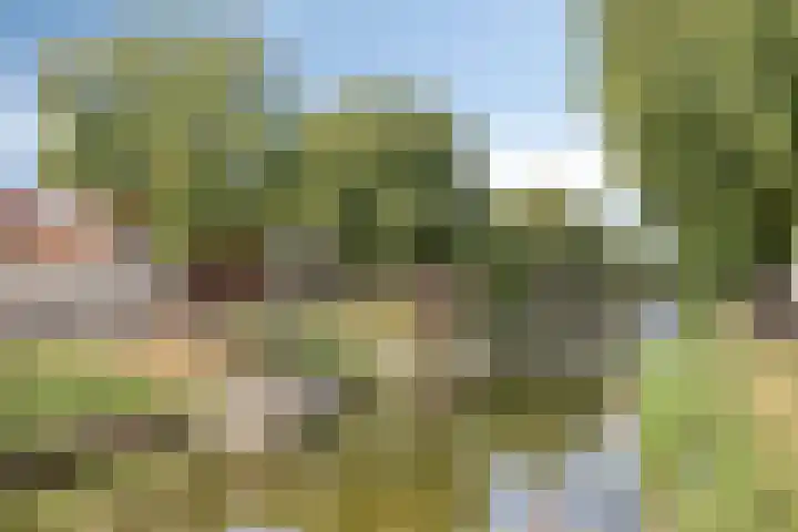 Hinthamereinde 49 A 's-Hertogenbosch thumbnail 19