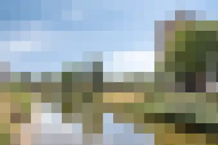 Hinthamereinde 49 A 's-Hertogenbosch thumbnail 21