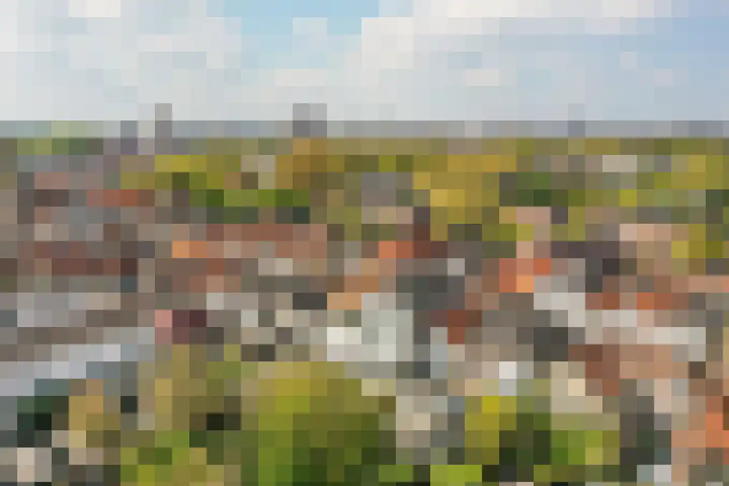 Hinthamereinde 49 H 's-Hertogenbosch foto 2