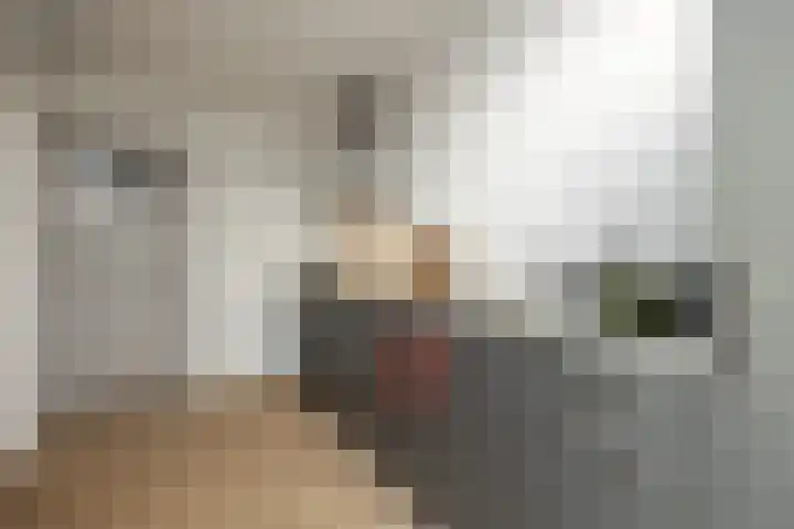 Hinthamereinde 55 A 's-Hertogenbosch thumbnail 22