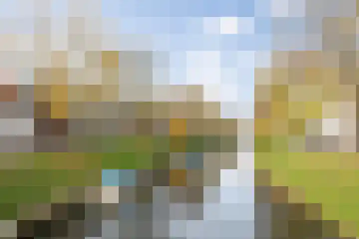 Hinthamereinde 55 A 's-Hertogenbosch thumbnail 35
