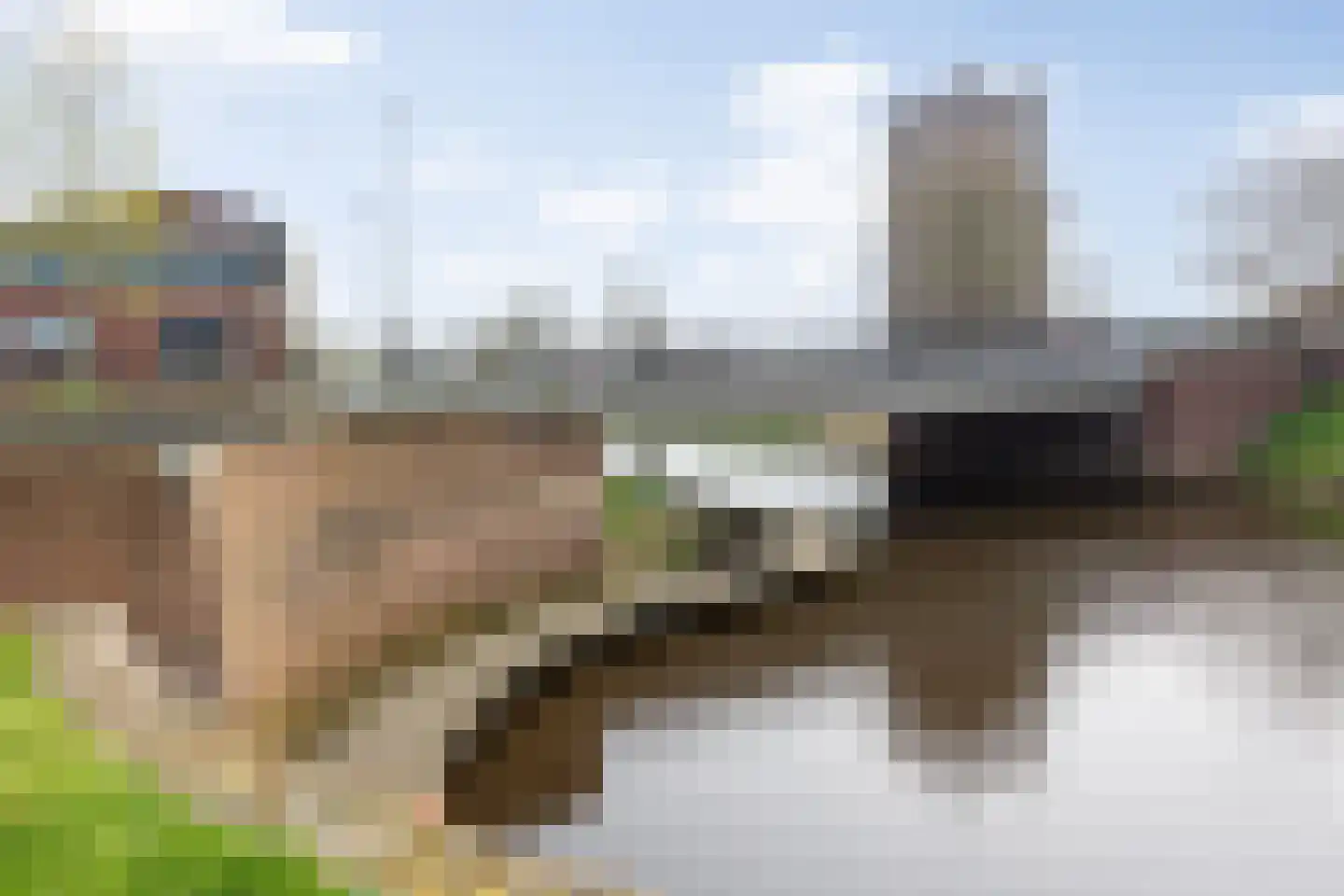 Hinthamereinde 57 A 's-Hertogenbosch thumbnail 41