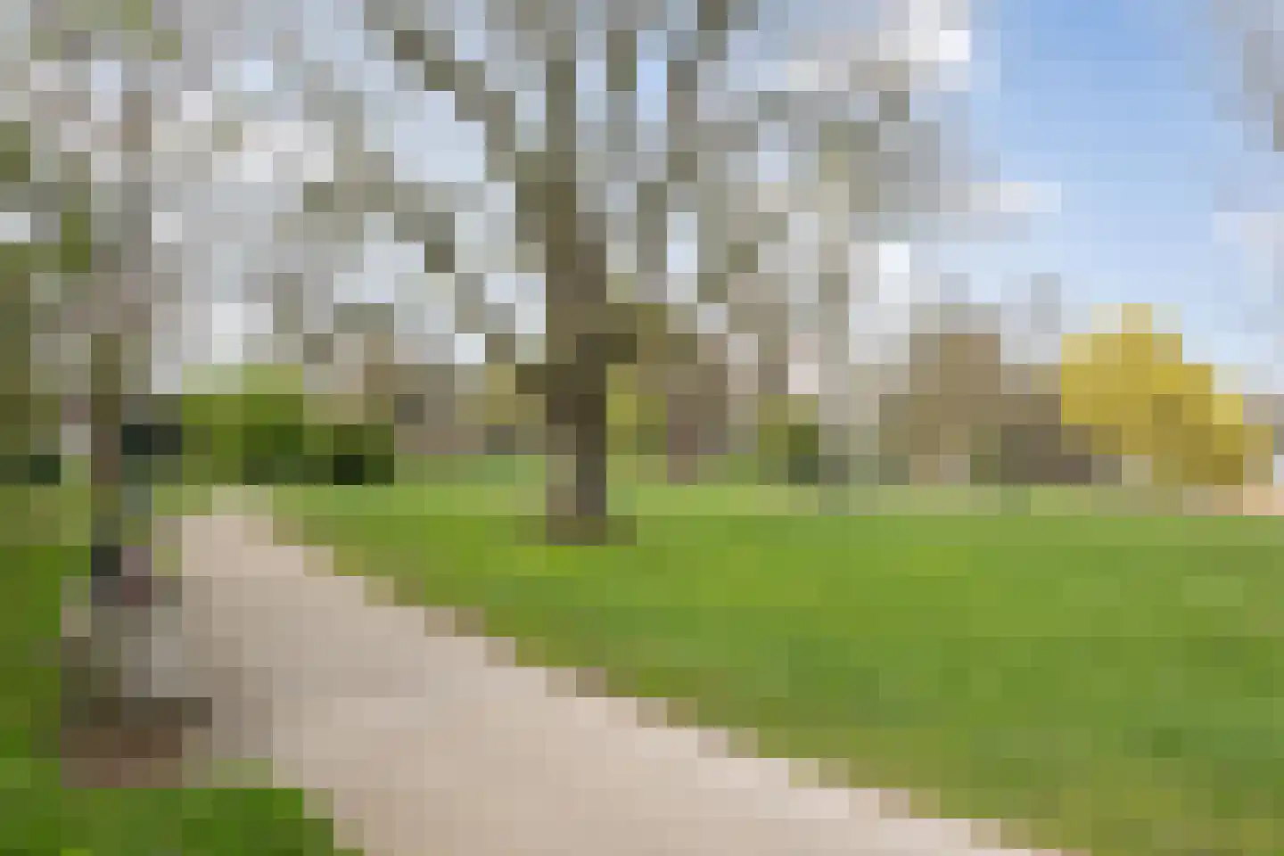 Hinthamereinde 57 A 's-Hertogenbosch thumbnail 43