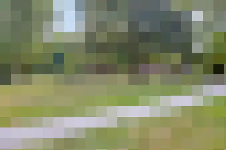 Hinthamereinde 60 D 's-Hertogenbosch thumbnail 26