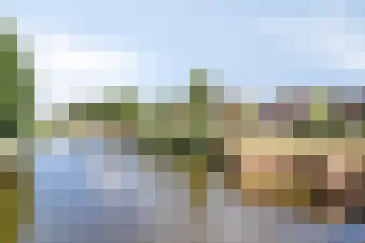 Hinthamereinde 60 D 's-Hertogenbosch thumbnail 27