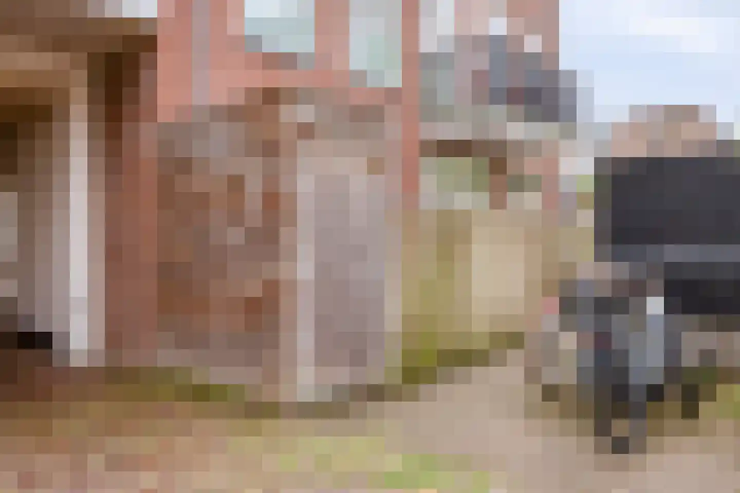 Hinthamereinde 60 E 's-Hertogenbosch thumbnail 25