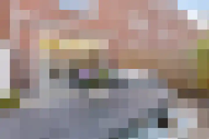 Hinthamereinde 64 G 's-Hertogenbosch thumbnail 15