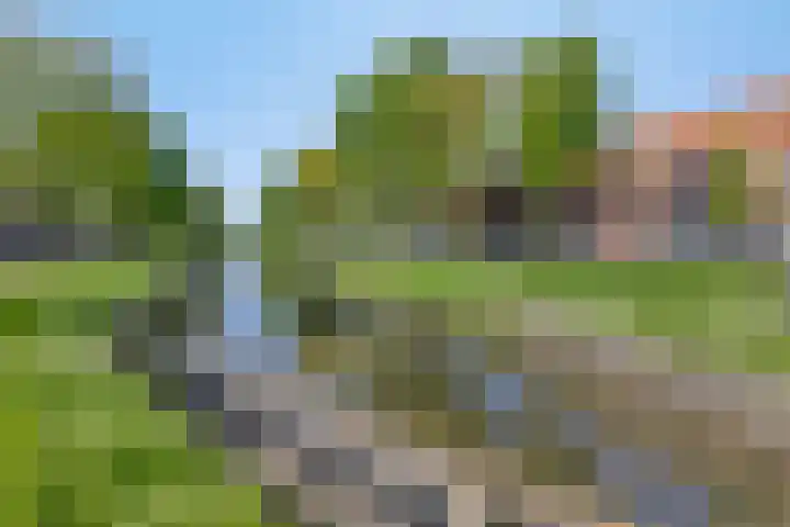 Hinthamereinde 64 G 's-Hertogenbosch thumbnail 33