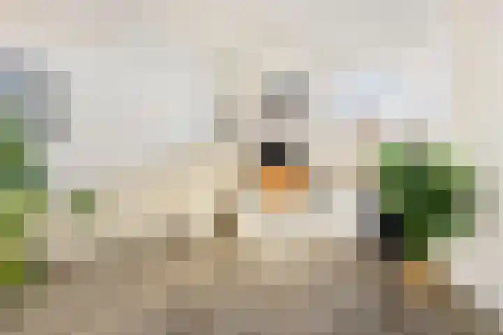 Hinthamereinde 64 N 's-Hertogenbosch thumbnail 11