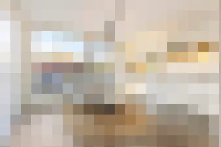 Hinthamereinde 64 N 's-Hertogenbosch thumbnail 12
