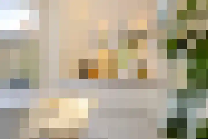 Hinthamereinde 64 N 's-Hertogenbosch thumbnail 19