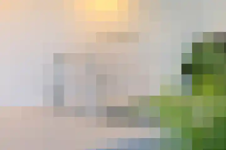 Hinthamereinde 64 N 's-Hertogenbosch thumbnail 20