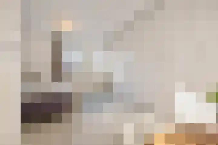 Hinthamereinde 64 N 's-Hertogenbosch thumbnail 31