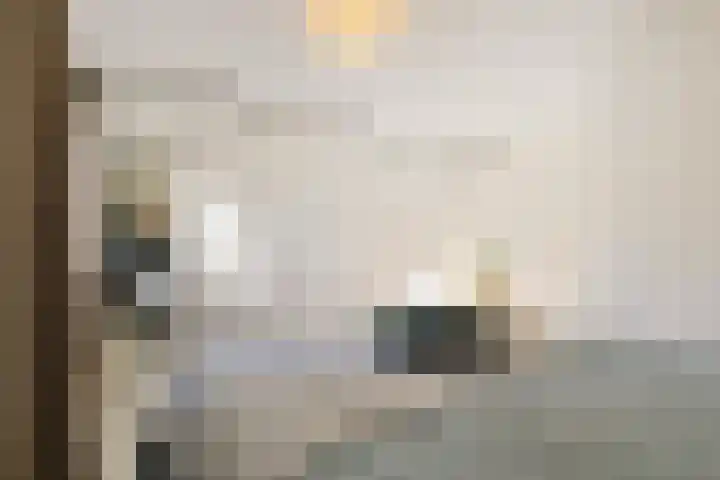 Hinthamereinde 64 N 's-Hertogenbosch thumbnail 33
