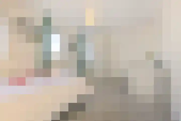 Hinthamereinde 64 N 's-Hertogenbosch thumbnail 37