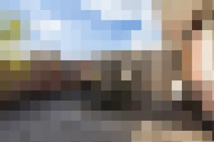 Hinthamereinde 64 N 's-Hertogenbosch thumbnail 41