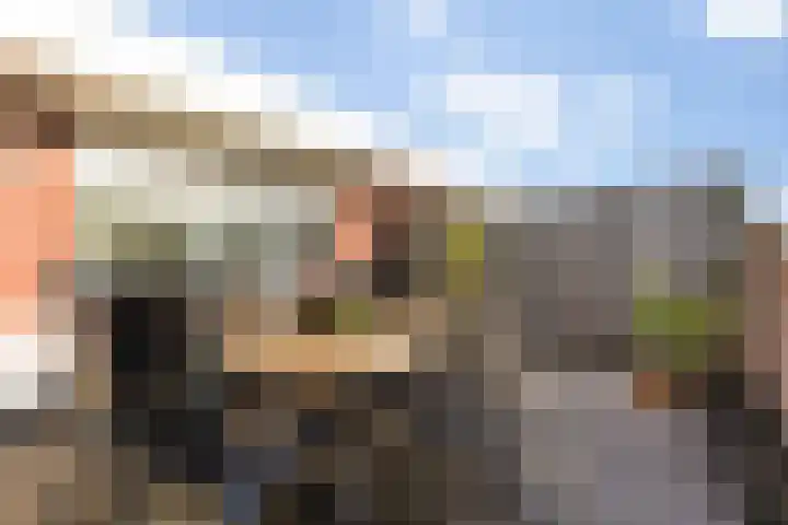 Hinthamereinde 64 N 's-Hertogenbosch thumbnail 42