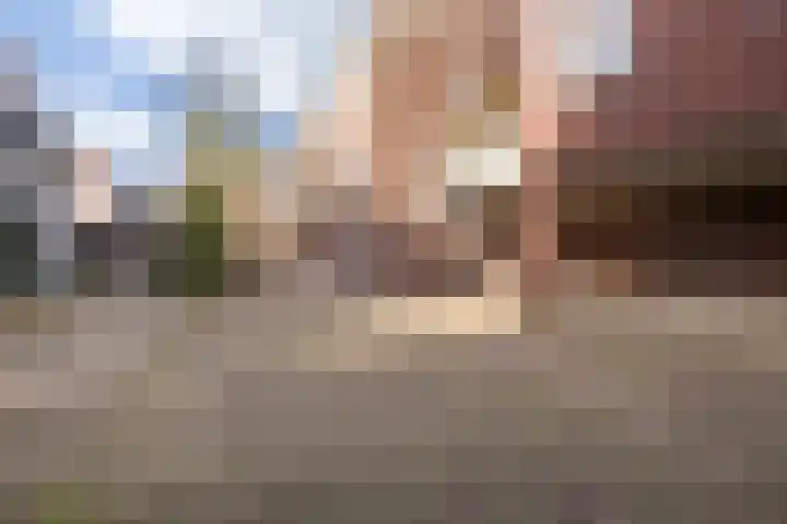 Hinthamereinde 64 N 's-Hertogenbosch thumbnail 45