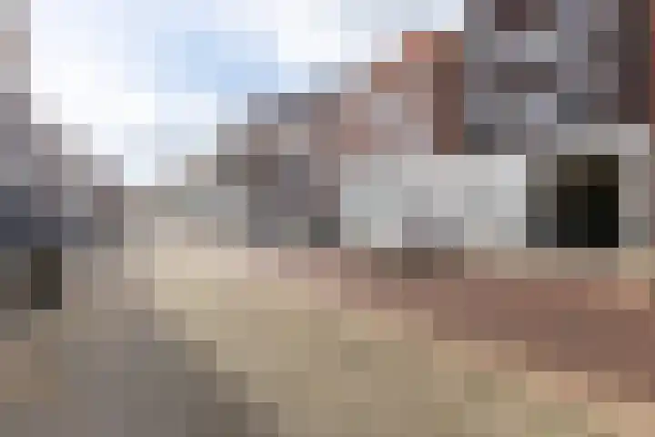 Hinthamereinde 64 N 's-Hertogenbosch thumbnail 48