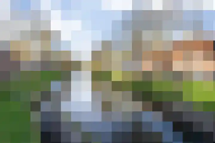 Hinthamereinde 64 N 's-Hertogenbosch thumbnail 49