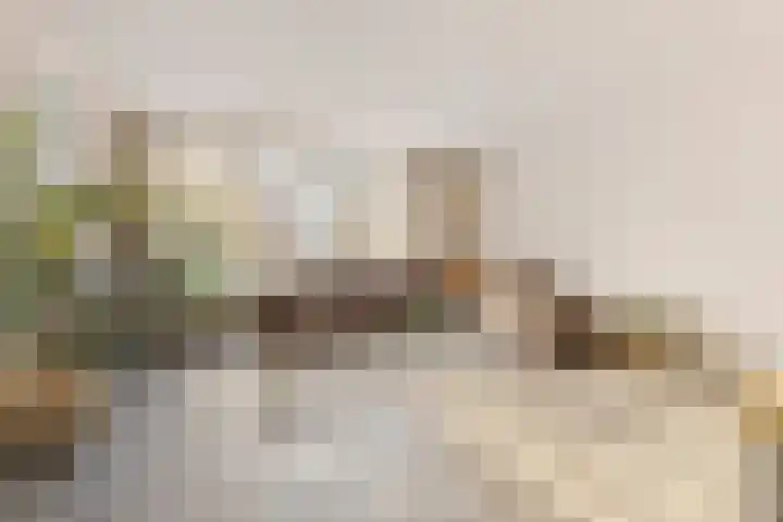 Hinthamereinde 64 N 's-Hertogenbosch thumbnail 5