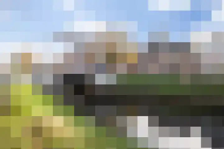 Hinthamereinde 64 N 's-Hertogenbosch thumbnail 50