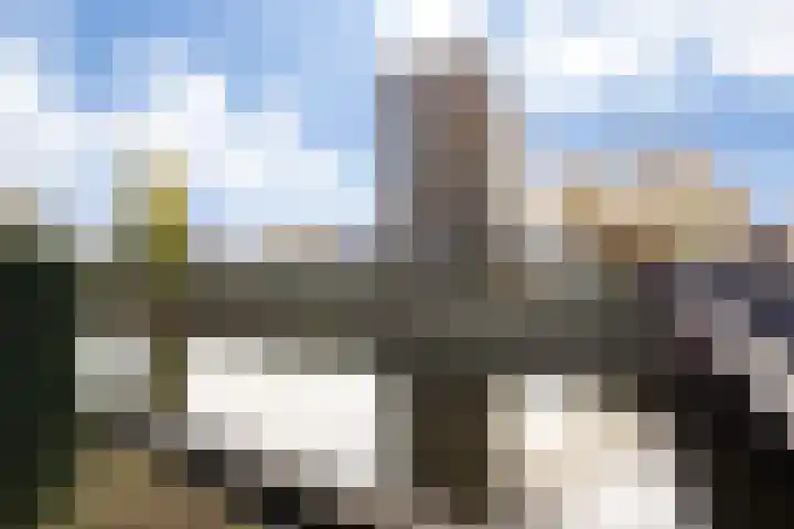 Hinthamereinde 64 N 's-Hertogenbosch thumbnail 52