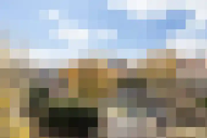Hinthamereinde 64 N 's-Hertogenbosch thumbnail 6