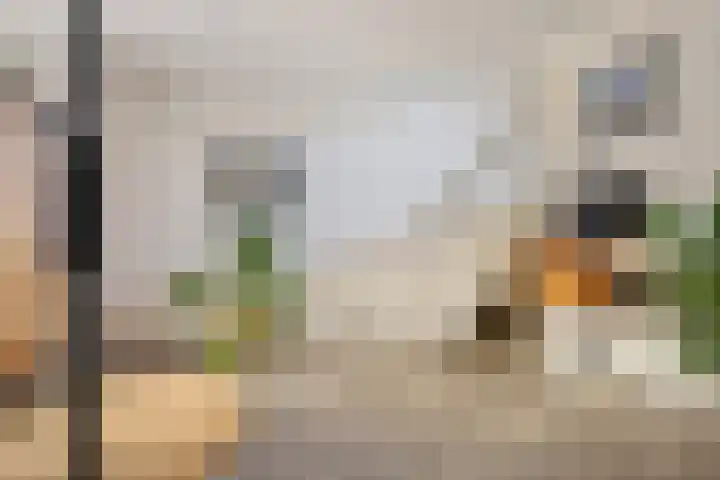 Hinthamereinde 64 N 's-Hertogenbosch thumbnail 9