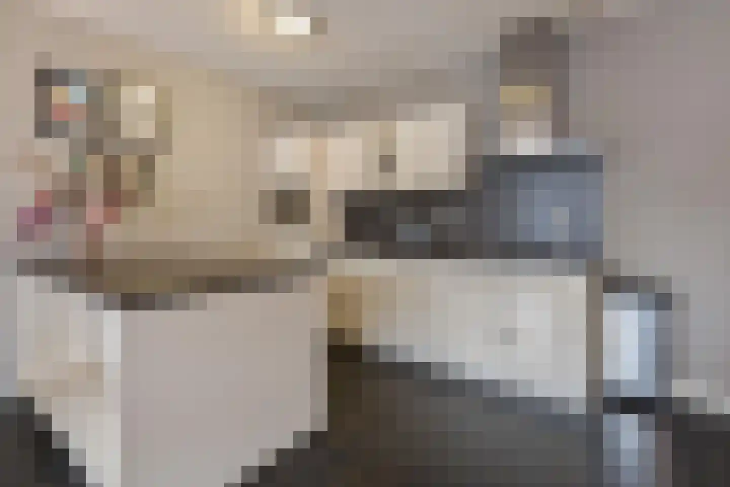 Hinthamereinde 64 's-Hertogenbosch thumbnail 7