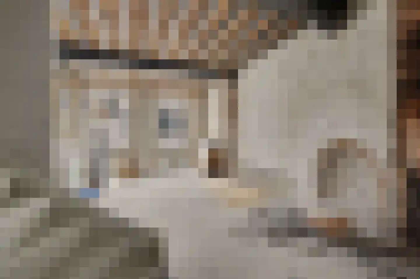 Hinthamereinde 70 A 's-Hertogenbosch thumbnail 13