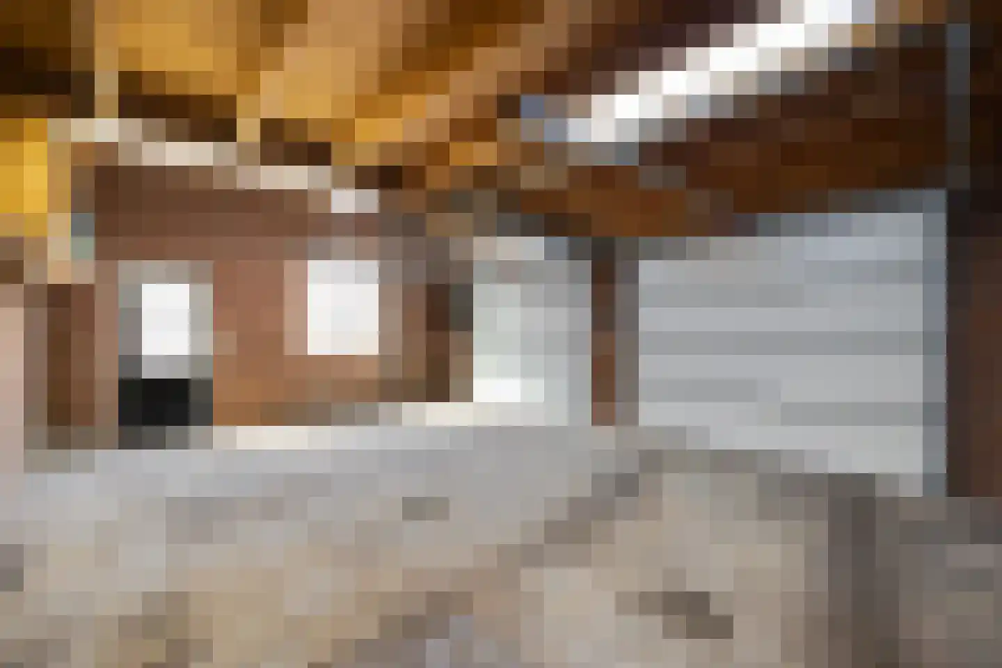 Hinthamerstraat 116 's-Hertogenbosch thumbnail 25