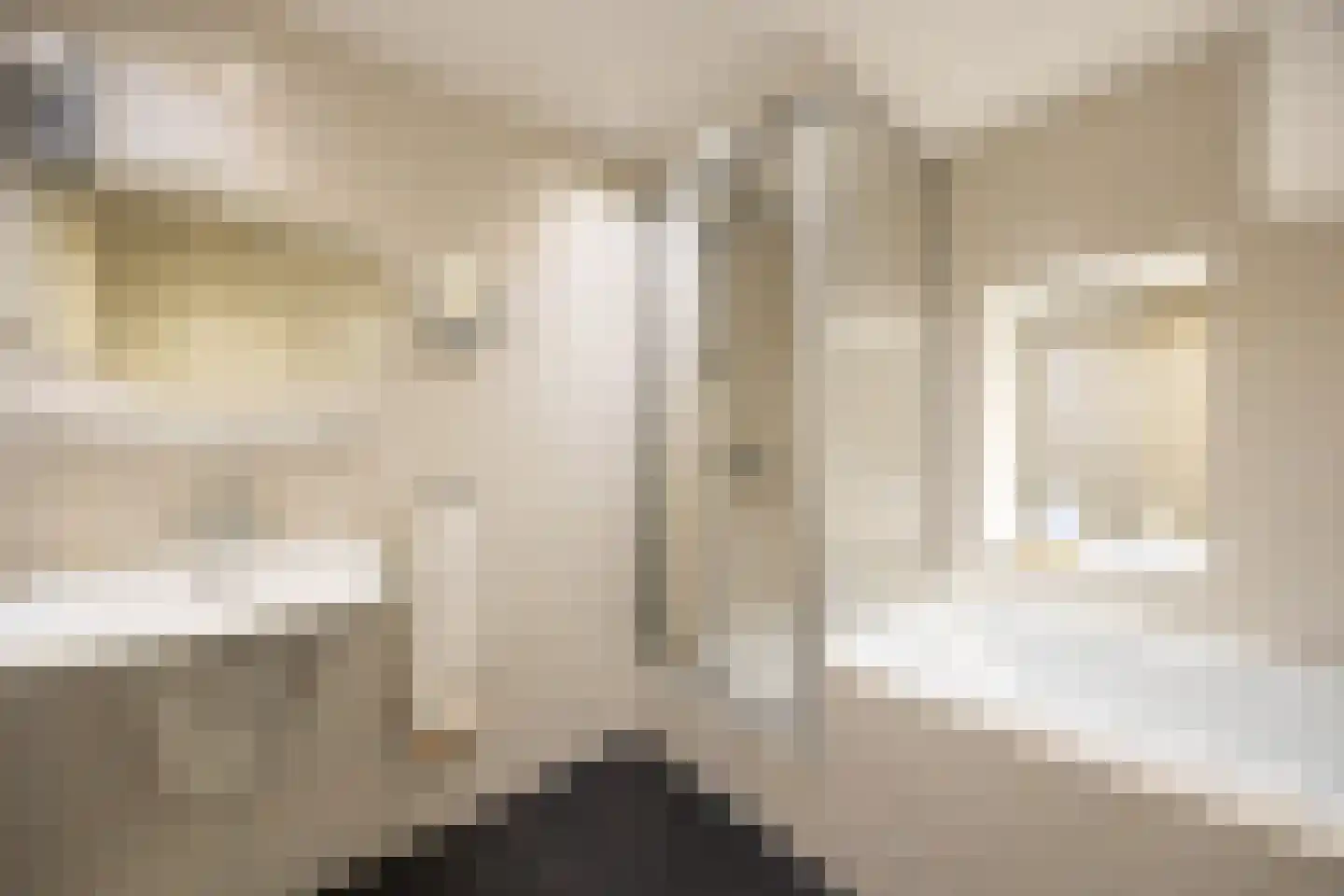 Hinthamerstraat 116 's-Hertogenbosch thumbnail 46