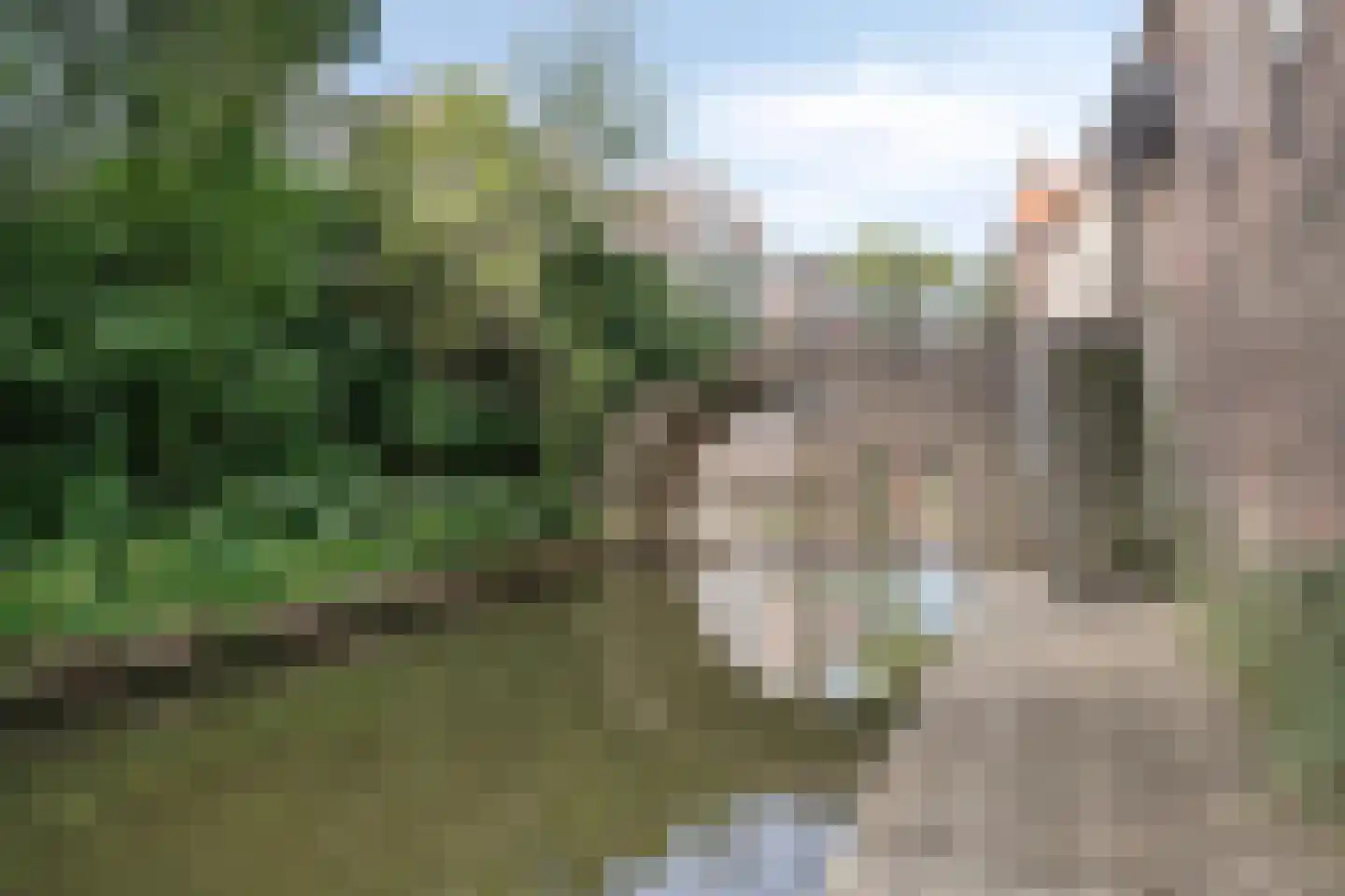 Hinthamerstraat 122 B 's-Hertogenbosch thumbnail 33