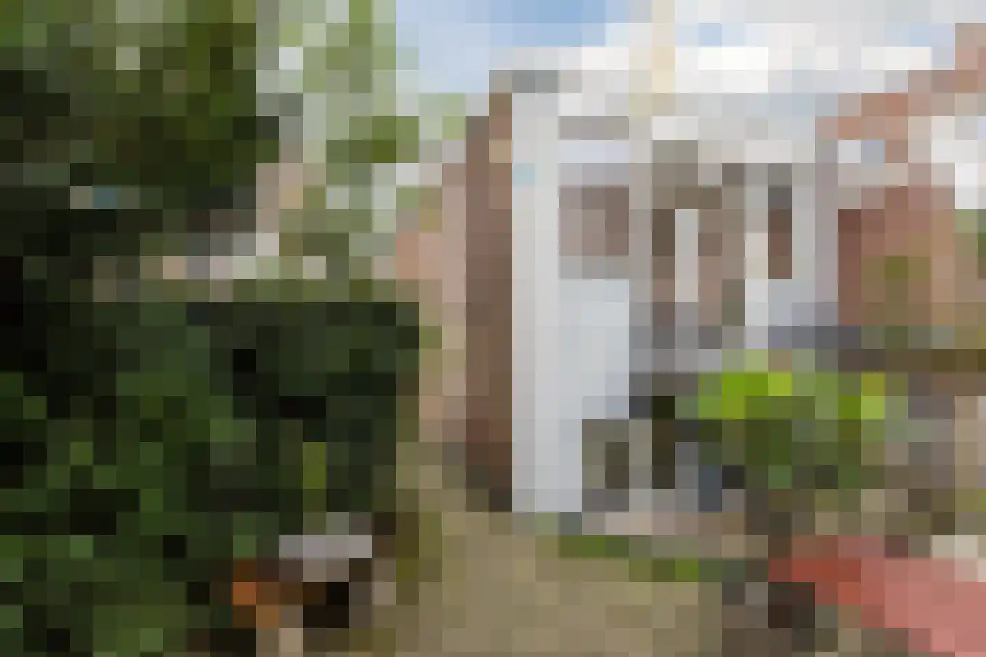 Hinthamerstraat 156 F 's-Hertogenbosch thumbnail 15