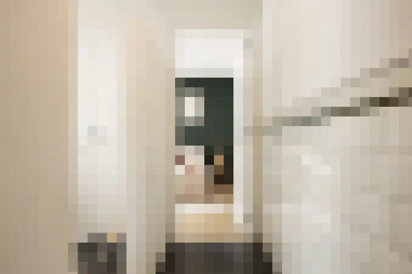 Hinthamerstraat 162 's-Hertogenbosch thumbnail 27