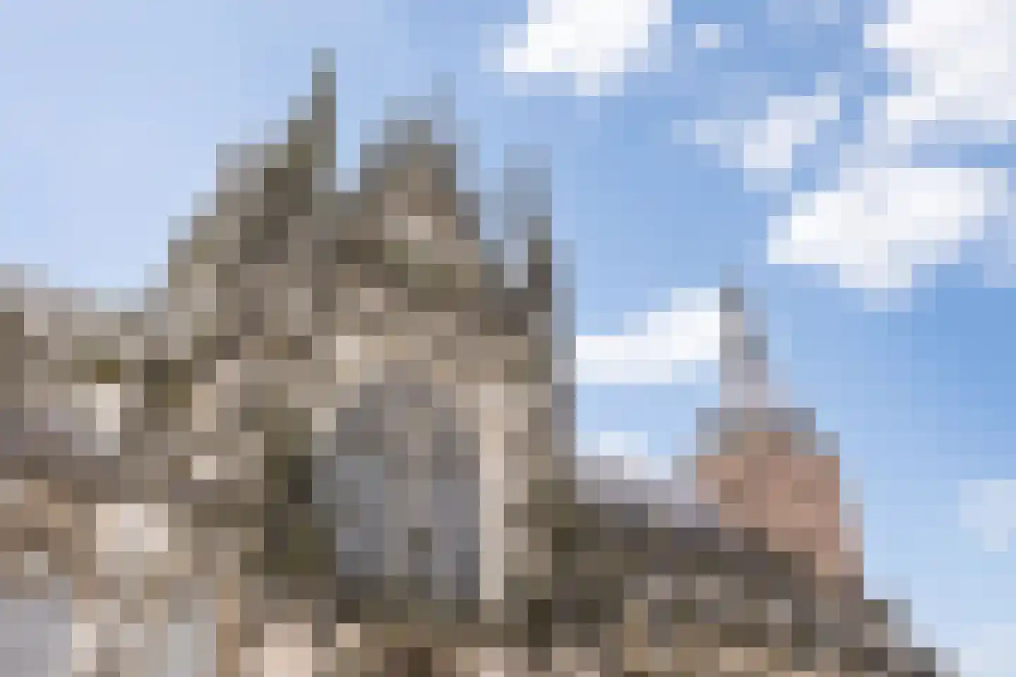 Hinthamerstraat 162 's-Hertogenbosch thumbnail 37