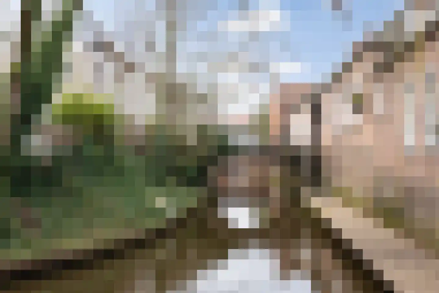 Hinthamerstraat 162 's-Hertogenbosch thumbnail 38