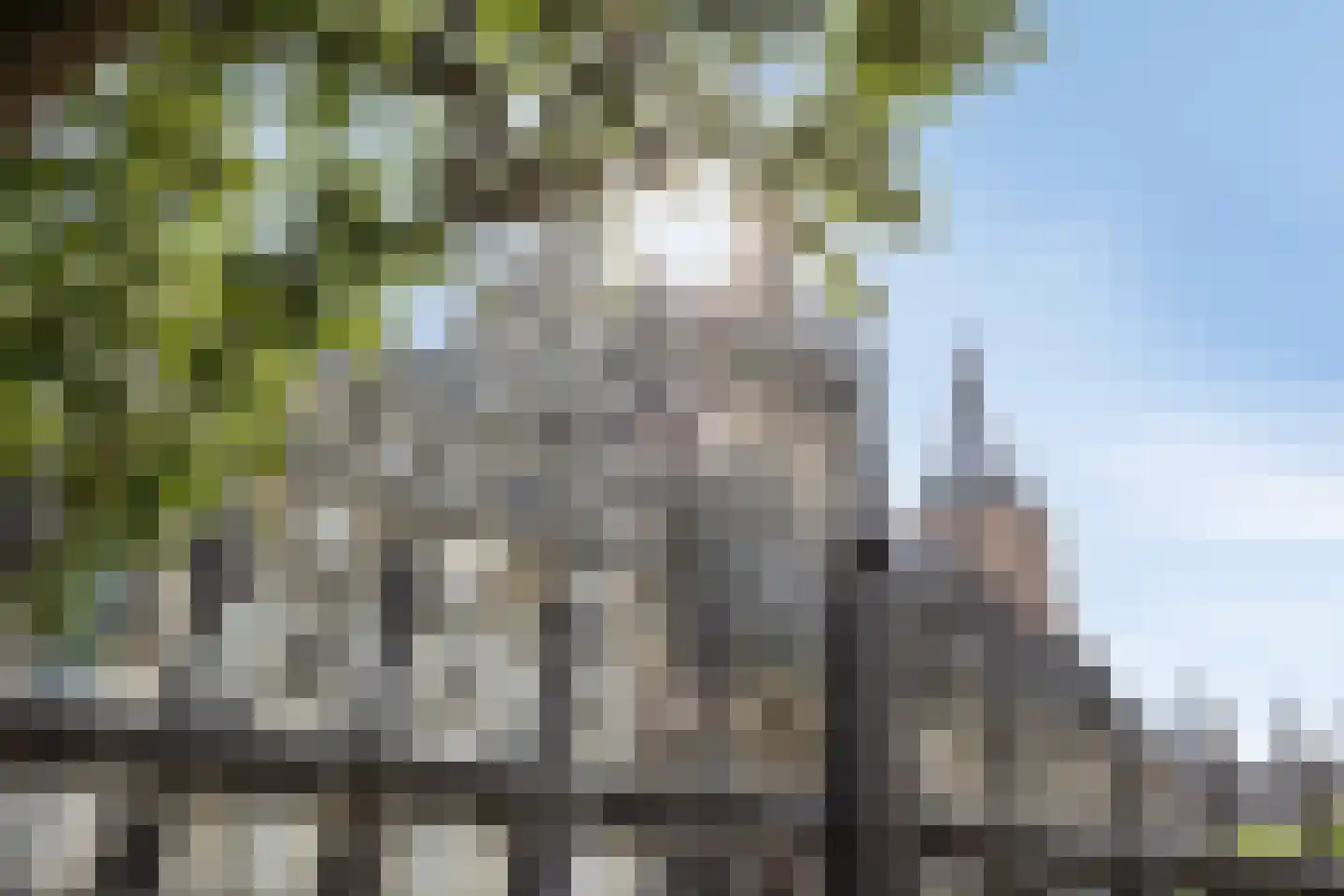 Hinthamerstraat 202 D 's-Hertogenbosch thumbnail 33