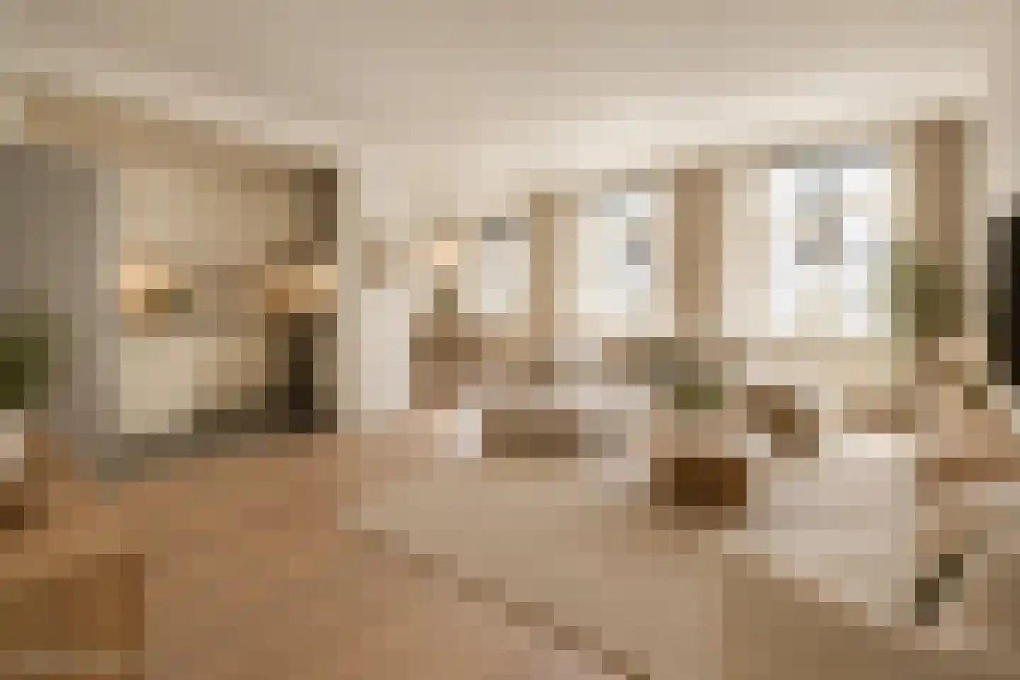 Hinthamerstraat 202 D 's-Hertogenbosch thumbnail 4