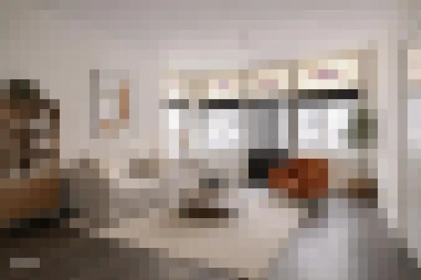 Hinthamerstraat 202 's-Hertogenbosch thumbnail 4