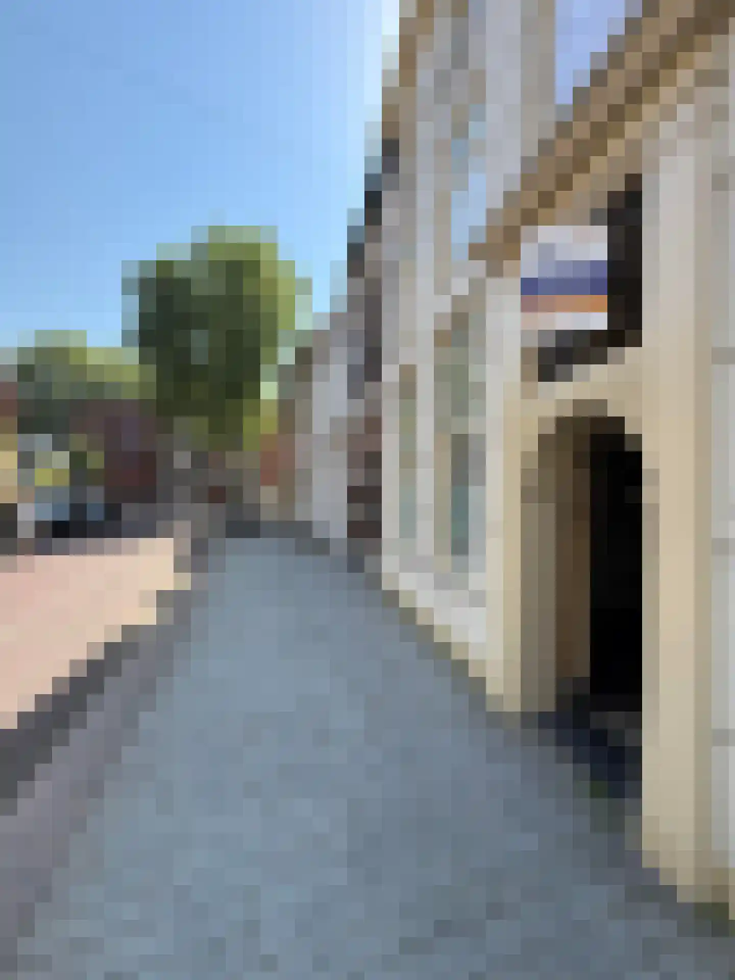 Hinthamerstraat 207 's-Hertogenbosch thumbnail 11