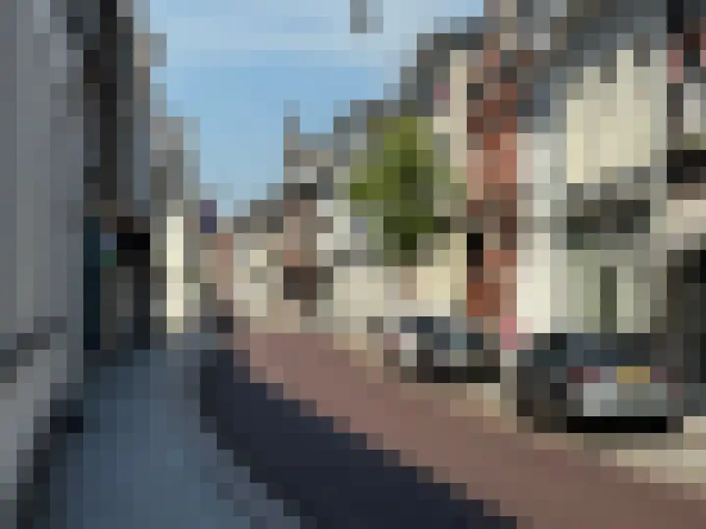 Hinthamerstraat 207 's-Hertogenbosch thumbnail 12