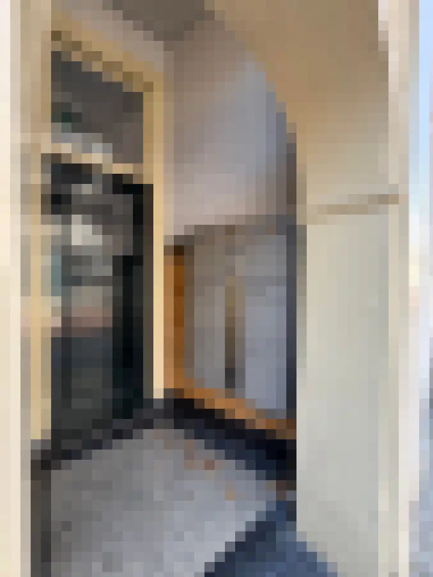 Hinthamerstraat 207 's-Hertogenbosch thumbnail 13