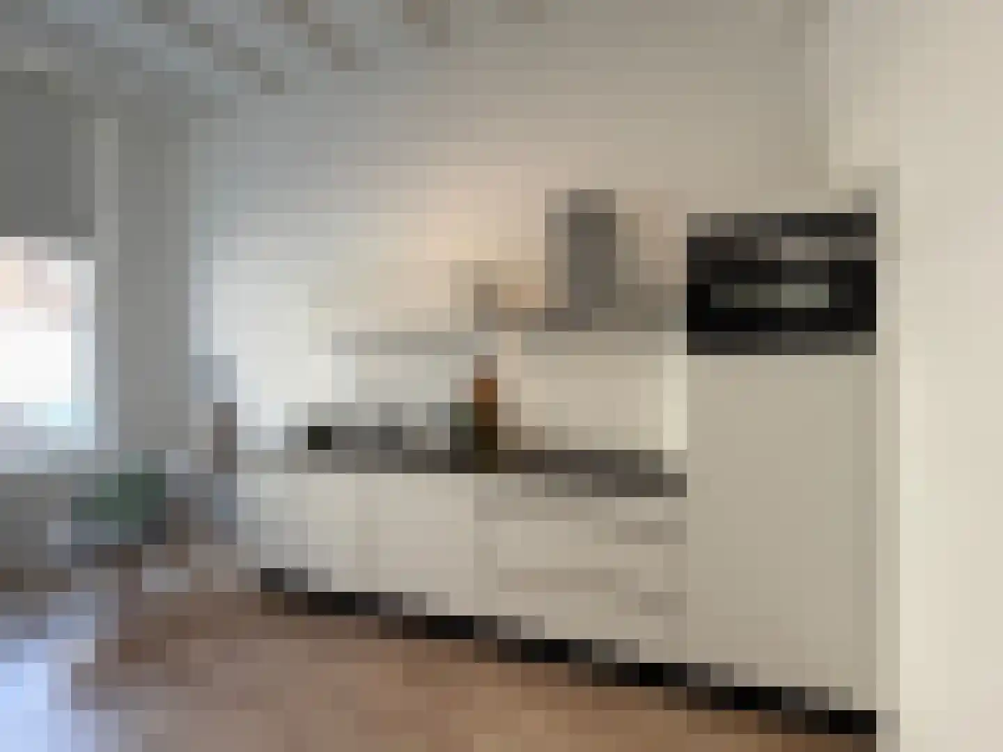 Hinthamerstraat 207 's-Hertogenbosch thumbnail 5
