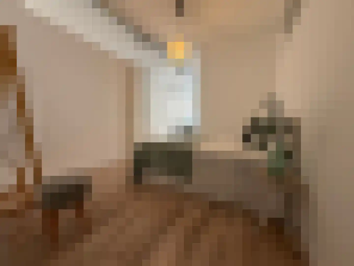 Hinthamerstraat 207 's-Hertogenbosch thumbnail 6