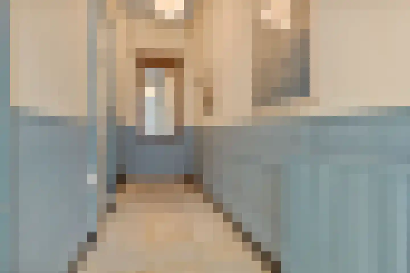 Hinthamerstraat 214 F 's-Hertogenbosch thumbnail 12