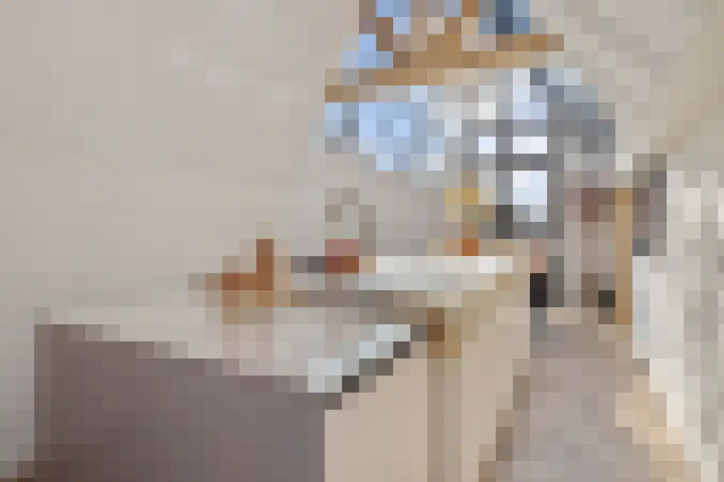 Hinthamerstraat 37 's-Hertogenbosch thumbnail 31