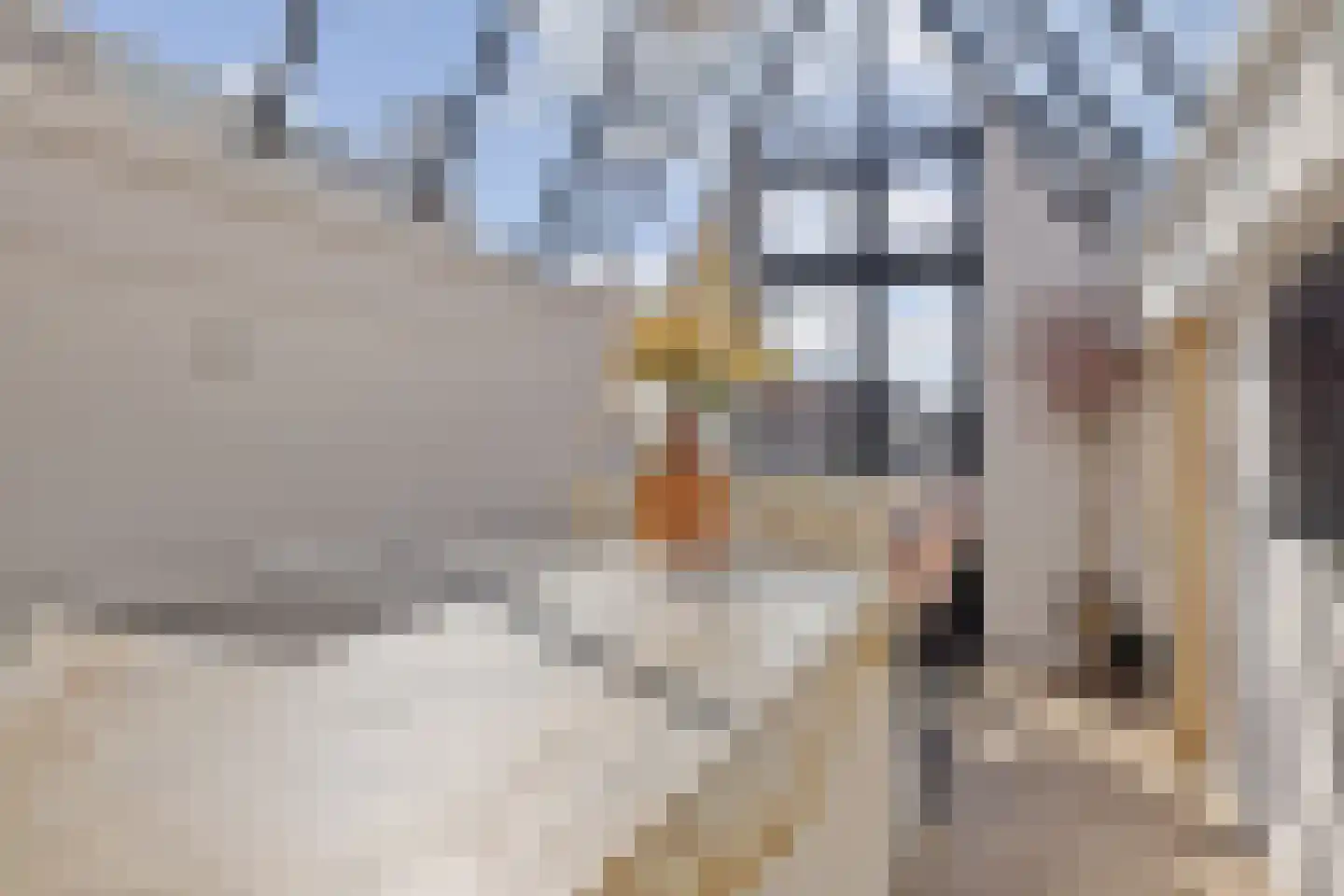 Hinthamerstraat 37 's-Hertogenbosch thumbnail 32